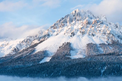 Panoramic View SkiWelt Wilder Kaiser
